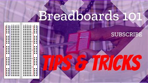 Breadboards Basics for Beginners - YouTube