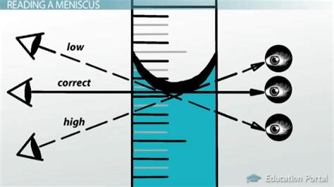 Meniscus | Definition, Reading & Examples - Lesson | Study.com