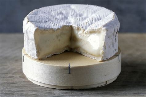 Why Camembert, one of the world’s great cheeses, might soon be extinct | Style Magazine | South ...