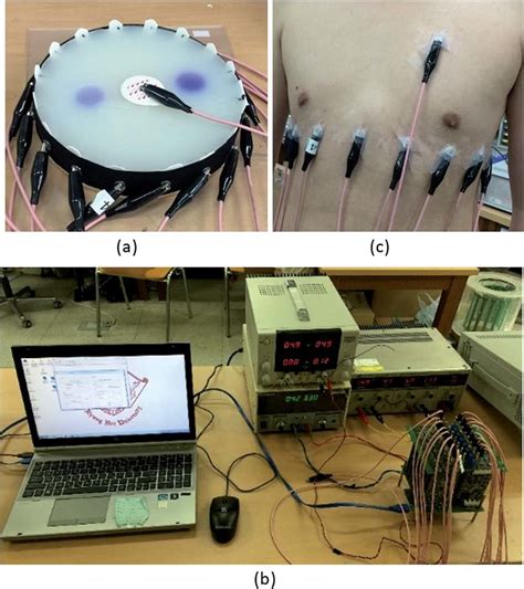 Electrode setup for EIT test. (a) Agar phantom wrapped with a belt ...