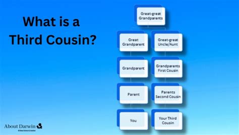 What Is A Third Cousin? Explore The Family Connection