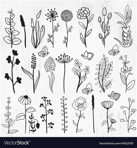 Wildflowers bundle svg floral wild flower svg Vector Image