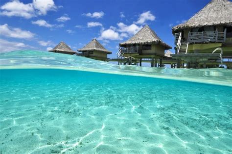 15 Bora Bora Honeymoon Specials & Ideas Bora Bora Resorts, Trip To Bora Bora, Bora Bora Island ...