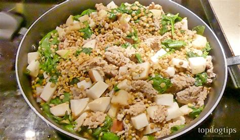 Homemade Turkey Stir Fry Dog Food for Allergies Recipe