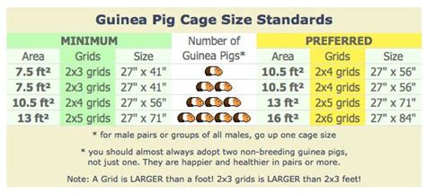 Coroplast Coroplast question | Guinea pigs, Guinea pig cage, Pet guinea pigs