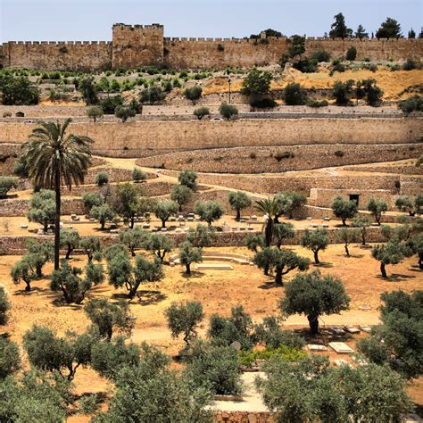 Mount of Olives/Dominus Flevit, Pater Noster, Chapel of the Ascension ...