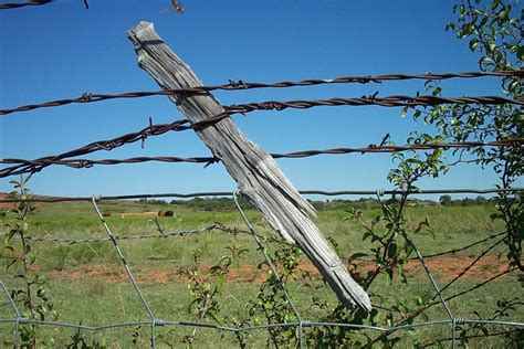 barb wire fence Free Photo Download | FreeImages