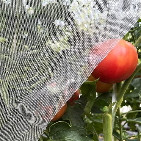 60-Mesh-Plant-Vegetables-Insect-Protection-Net-Garden-Fruit-Care-Cover-Flowers-Protective-Net ...