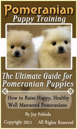 Pomeranian Puppy Training The Ultimate Guide On Pomeranian Puppies: How ...