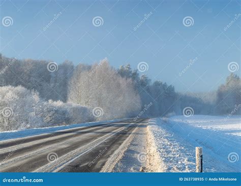 Beautiful Winter Cold Landscape in Blue Tones, Frost on Scenic Tall Grass Copse, Winter Frosty ...