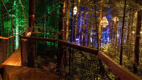 Tourism website for Redwoods Treewalk