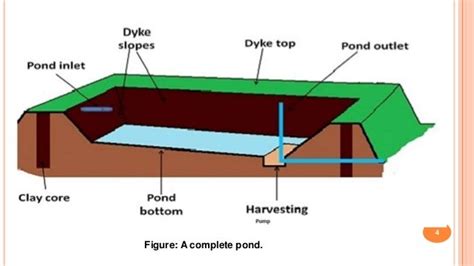 CONSTRUCTION OF FISH POND