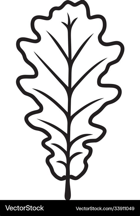 Oak leaf Royalty Free Vector Image - VectorStock