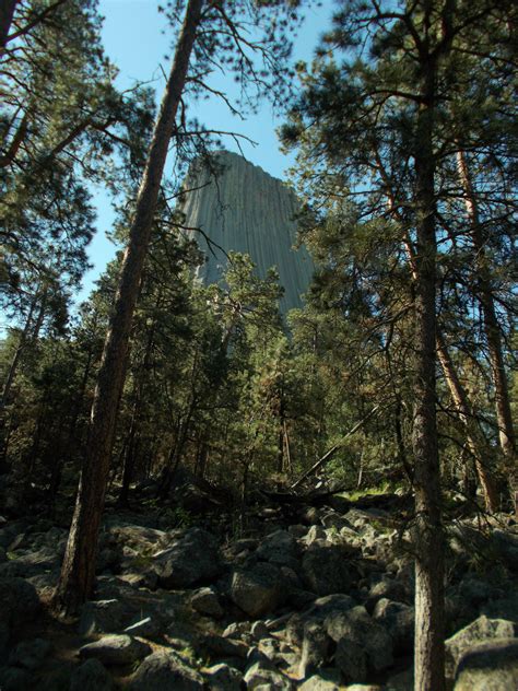 Devil's Tower Trail - Wyoming | AllTrails