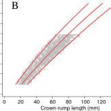 Simulated data for crown-rump length measurements in relation to ...