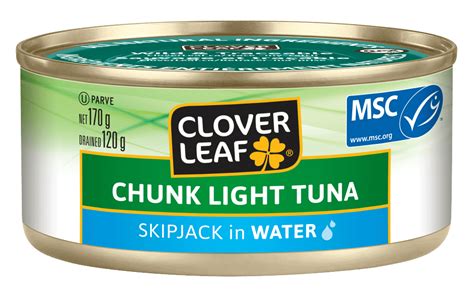 Chunk Light Tuna, Skipjack in Water - Clover Leaf