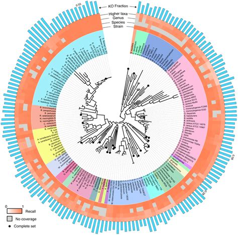 Antibiotic resistance genes in “black gold” – microBEnet: the ...