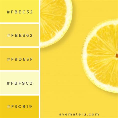 Layout the lemon on a yellow background Color Palette #255 - Color combination, Color pallets ...