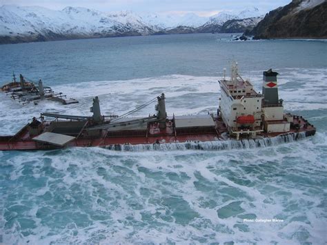 disaster | Arctic Shipping is a Disaster | Abandoned ships, Ship ...