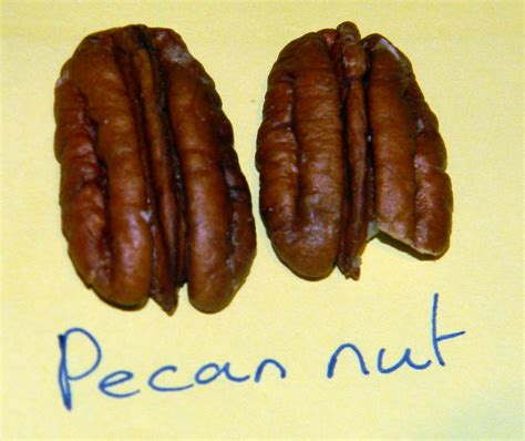 pecan nut 30th September 2012 19:13.34pm | pecan nut 30th Se… | Flickr