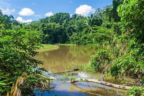 Madidi National Park, Bolivia - WorldAtlas