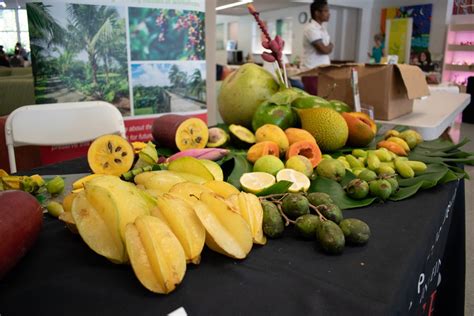 Locally sourced, vegan bites featured at Fair Food Fair - The Miami Hurricane