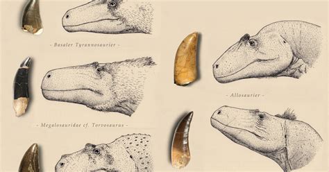 Species New to Science: [Paleontology • 2016] Multivariate and Cladistic Analyses of Isolated ...