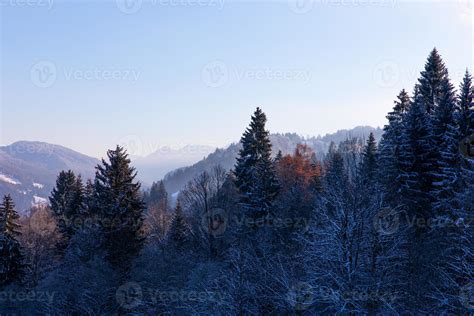 Frozen winter forest in the Bavarian alps 4807528 Stock Photo at Vecteezy