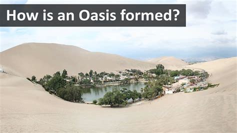 How is an Oasis formed | Geography terms for UPSC, IAS, CDS, NDA, SSC CGL - YouTube