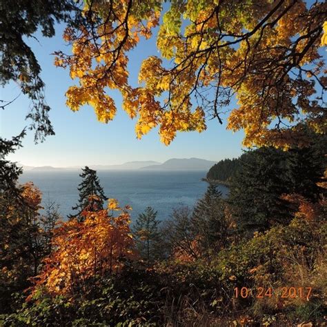 Chuckanut Drive in the Fall - The Oyster Bar on Chuckanut Drive - Bow, WA