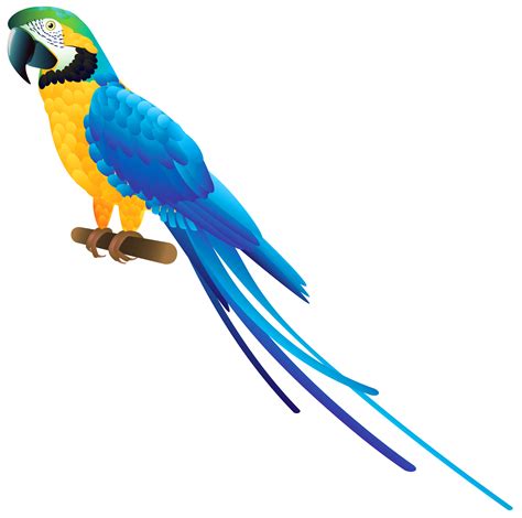 Blue parakeet clipart 20 free Cliparts | Download images on Clipground 2024