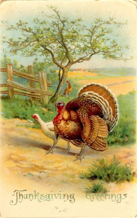 Thanksgiving Greetings | Vintage thanksgiving, Thanksgiving art, Thanksgiving pictures