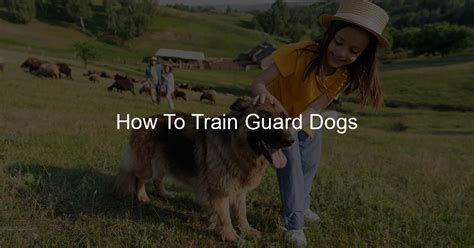 How To Train Guard Dogs - Farm Barking