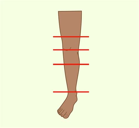 Lower Extremity Amputations – Surgery Student