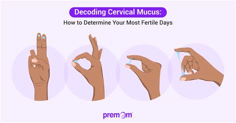 Vaginal Discharge During Ovulation