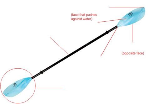 Name the Parts of a Paddle