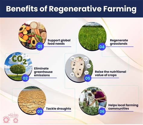 Regenerative Agriculture: A Step Towards Sustainable Farming