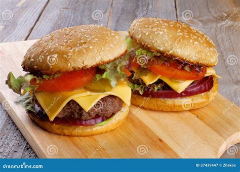 Two Burgers stock image. Image of fast, colored, freshness - 37439447