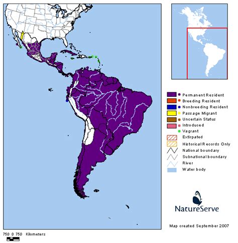 Americas Range Map - Neotropic Cormorant | BirdPhotos.com