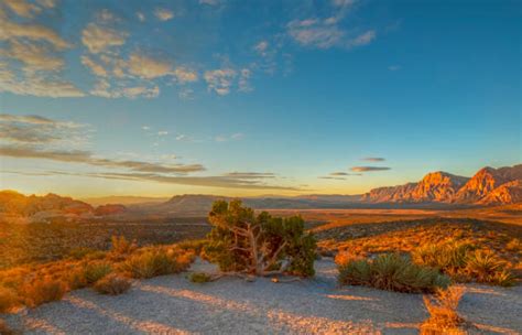 380+ Red Rock Canyon Sunrise Stock Photos, Pictures & Royalty-Free ...