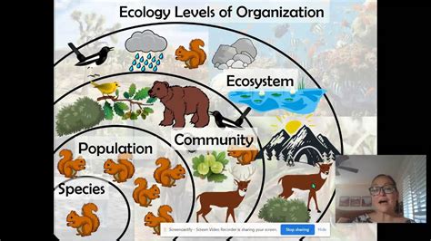 Ecology Levels of Organization - YouTube