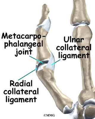 Ulnar Collateral Ligament Injuries of the Thumb | eOrthopod.com