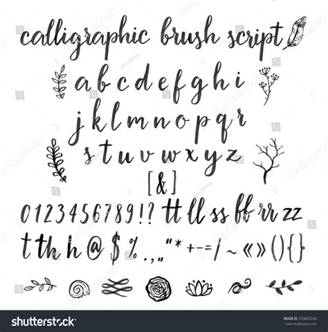 Calligraphic Vector Font Numbers Ampersand Symbols Stock Vector ...