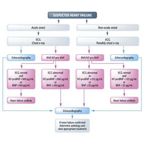 Prognosis in heart failure, Galectin-3 in heart failure | bioMérieux ...