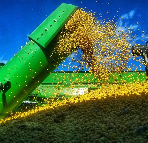 MN Millennial Farmer on Instagram: “#soybeans #channelseed #harvest18 #mnmillennialfarmer ...