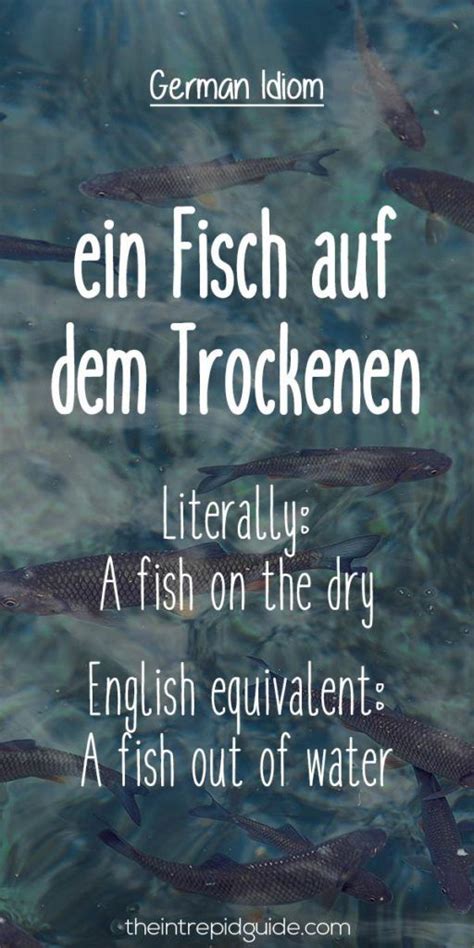 27 Hilarious Everyday German Idioms and Expressions | Idiomy, Język niemiecki i Przysłowia