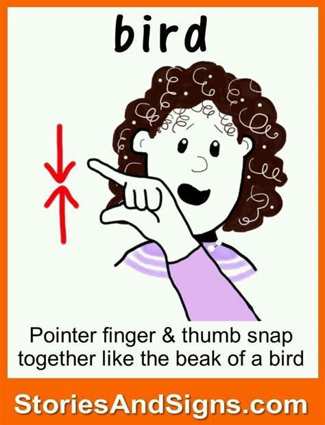 Bird in Sign Langauge | Sign language for kids, Sign language chart ...