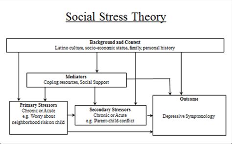 Stress Process Model