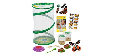 Insect Lore's Mini Butterfly Garden Kit comes with two caterpillar cups at low of $34.50, more