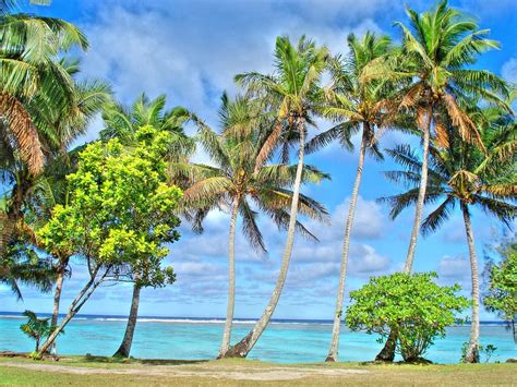 Cook Islands beach